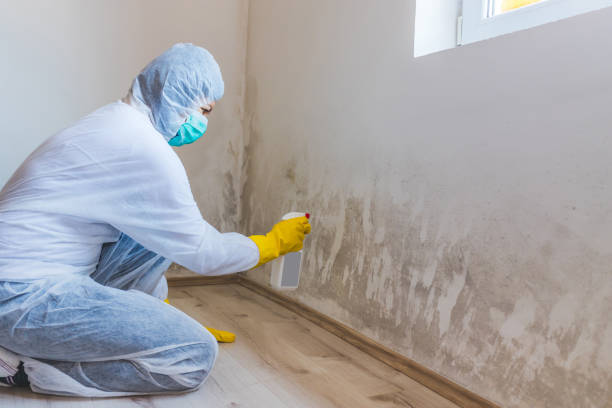 Bathroom Mold Removal assessment in Glen Burnie bathroom