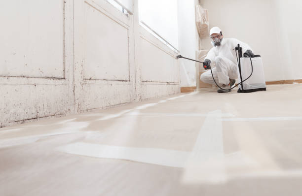Black mold remediation team in Glen Burnie